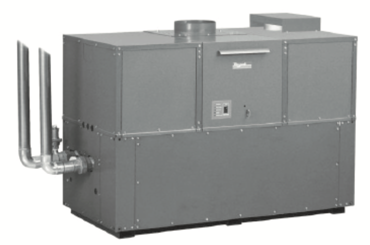 P21137786