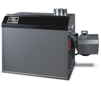 P21153355