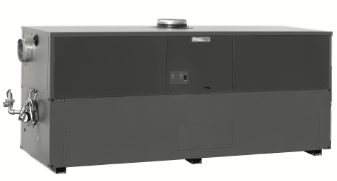 P21135768