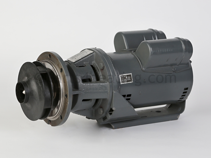 A2000900_4.jpg