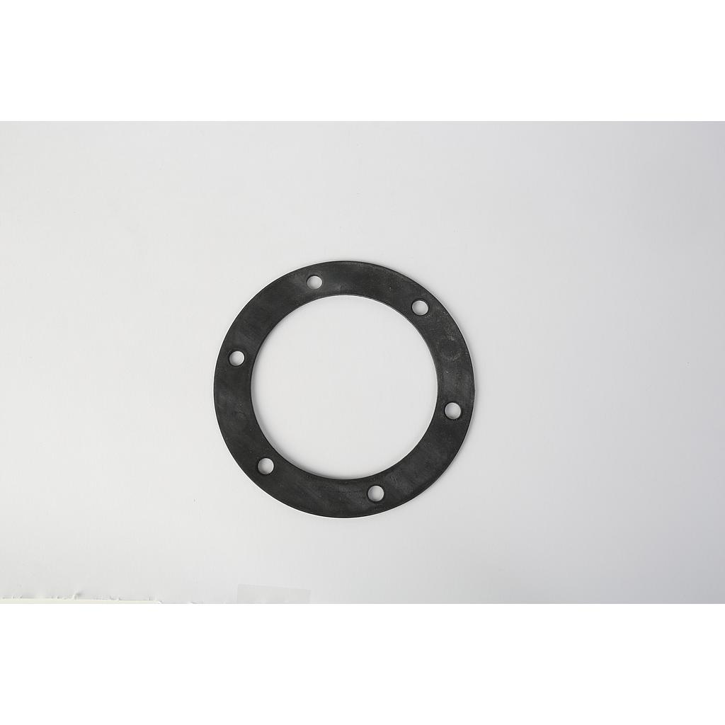 TANKLESS HEATER GASKET