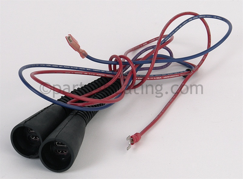 Rear Wire Harness, DS