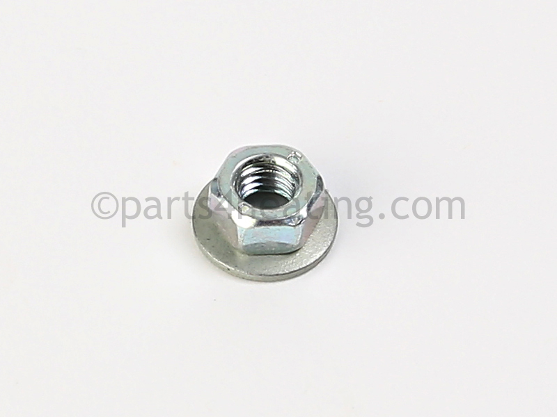 Nut Zinc Coated 6MA