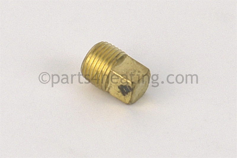 Brass Plug (1/8in. NPT)