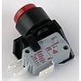 Test Reset Switch (LWCO)