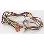 Wire Harness, Electronic Control
